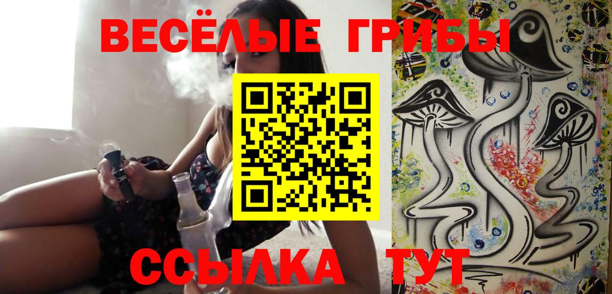 Галлюциногенные грибы Psilocybine cubensis  Вход с VPN  Барнаул 